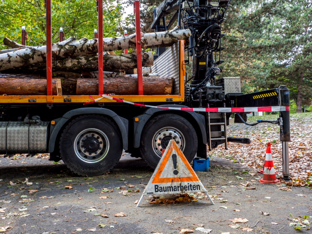 Baumfeldräumung Wiesbaden
