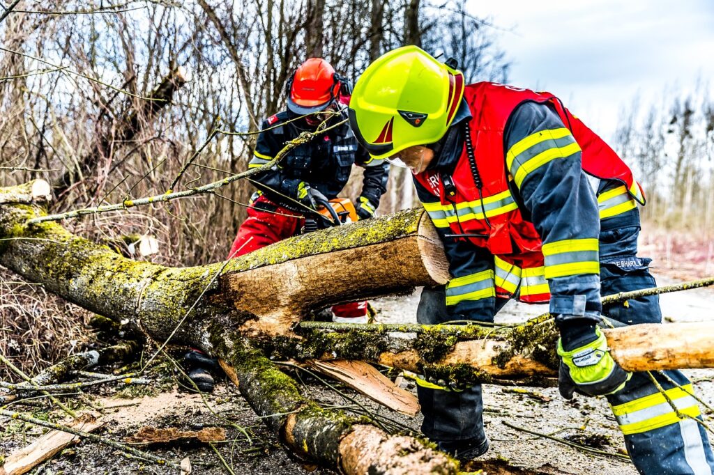 Baum beseitigen Sturm Wiesbaden